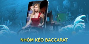 Nhóm kéo Baccarat KUBET học hỏi bí quyết cá cược thắng lớn