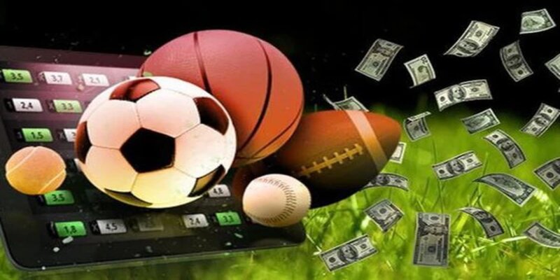 Những bộ môn hot được ưa chuộng tại CMD Sport Kubet.